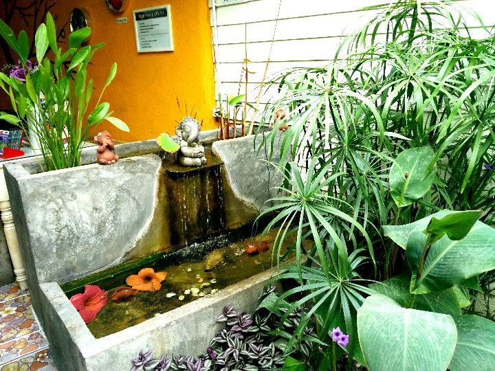 Yin Yang Guesthouse Chiang Mai Eksteriør billede