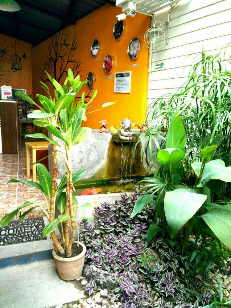 Yin Yang Guesthouse Chiang Mai Eksteriør billede